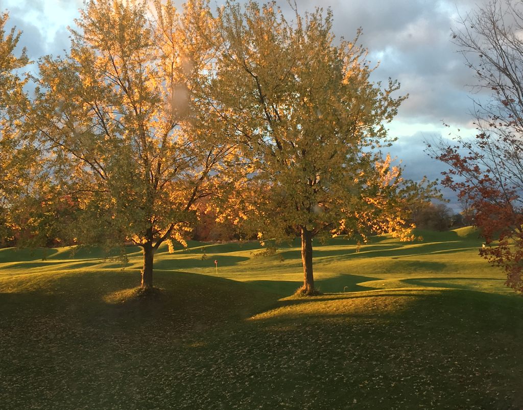 Tracy Griffin R.M.T. CranioSacral Therapist | 10228 Kennedy Rd, Markham, ON L6C 1N9, Canada | Phone: (416) 817-7255