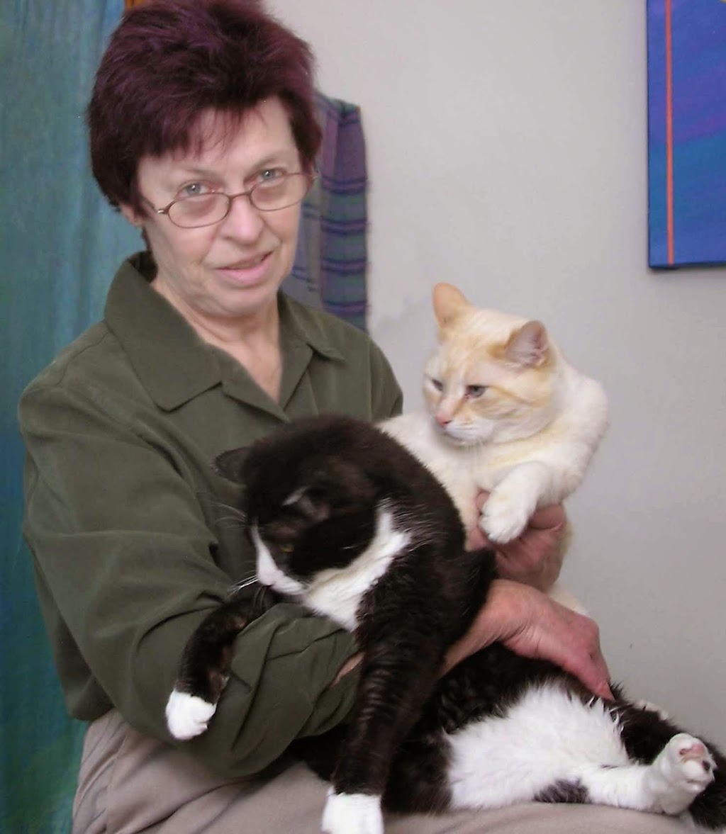 Aesops Veterinary Care | 260 St Annes Rd, Winnipeg, MB R2M 3A4, Canada | Phone: (204) 487-4744