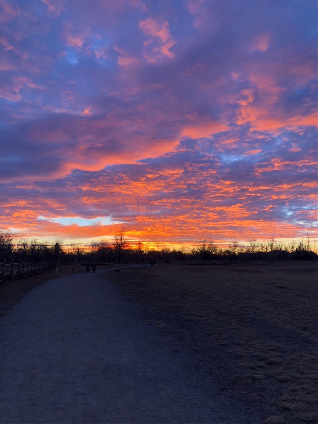 Sue Higgins Off-Leash Area | 9888 15 St SE, Calgary, AB T2J, Canada