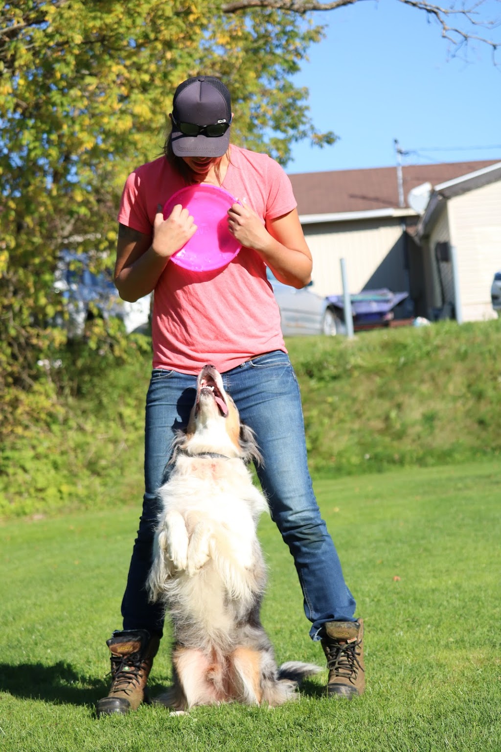Espace Canin : entrainement et comportement | 4700 Chemin Aldrich, Waterville, QC J0P 3H0, Canada | Phone: (819) 212-2840
