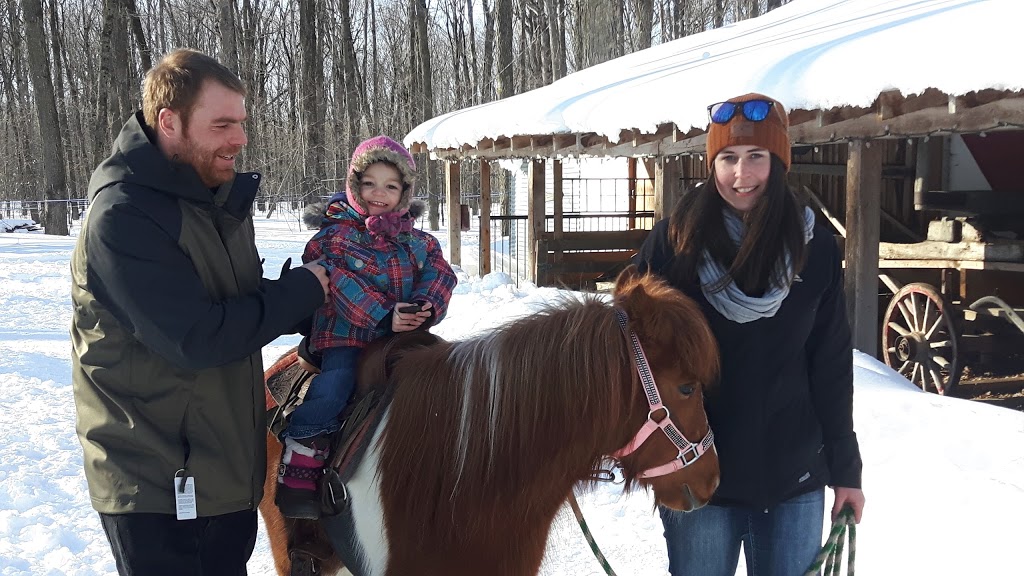 Érablière Prince | 1785 9e Rang, Saint-Wenceslas, QC G0Z 1J0, Canada | Phone: (819) 224-4222