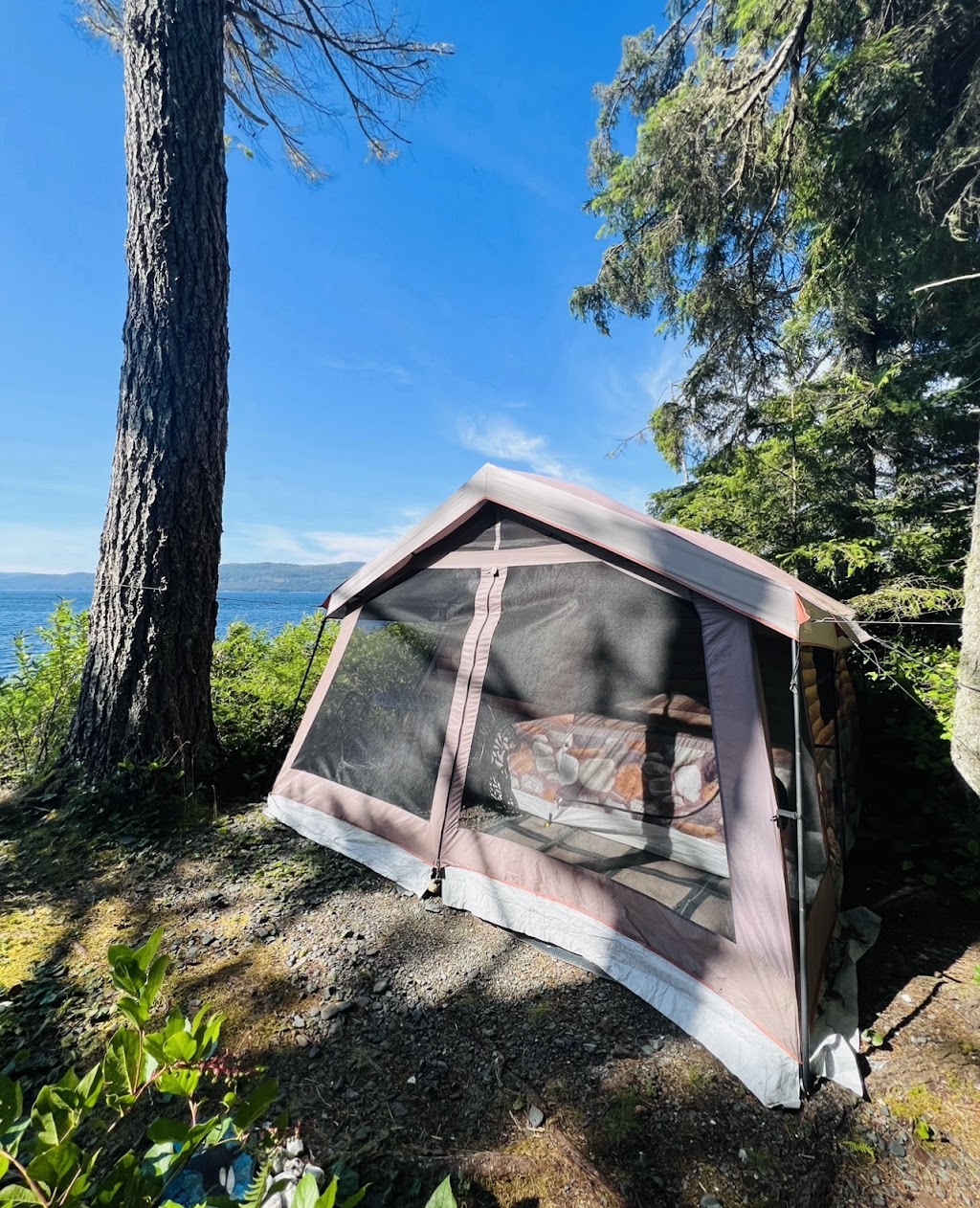 Grey Wolf Expeditions | 1811 Surgenor Rd, Black Creek, BC V9J 1G6, Canada | Phone: (250) 337-5717
