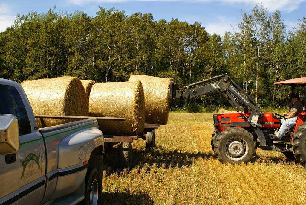 Marywood Breeders Group | 8491 Concession Rd 14, Palmerston, ON N0G 2P0, Canada | Phone: (519) 362-5373