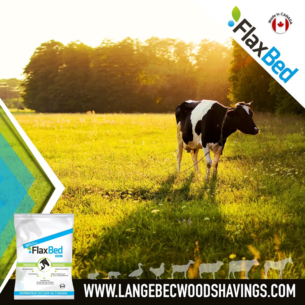 Industrie Langebec Inc | 114 Rue Rotobec, Sainte-Justine, QC G0R 1Y0, Canada | Phone: (418) 383-3801