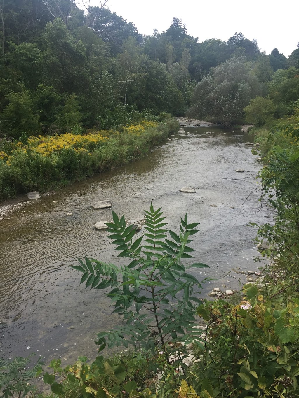 Finch Meander Trail | 361 Old Finch Ave, Scarborough, ON M1B, Canada