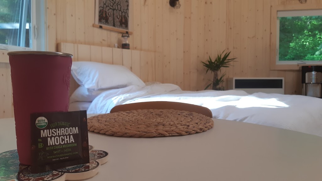 Elk Island Retreat | 54371 Range Rd 205, Fort Saskatchewan, AB T8L 3Z3, Canada | Phone: (780) 998-0708
