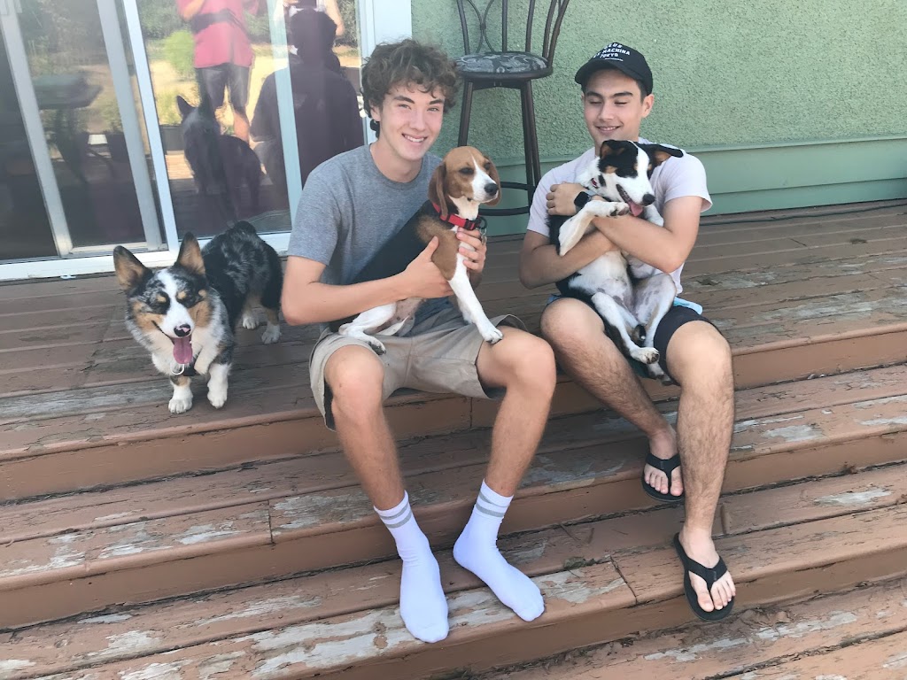 Tom and Lucys Doggy Vacation | 410 Young St, Parksville, BC V9P 1C3, Canada | Phone: (416) 604-2550