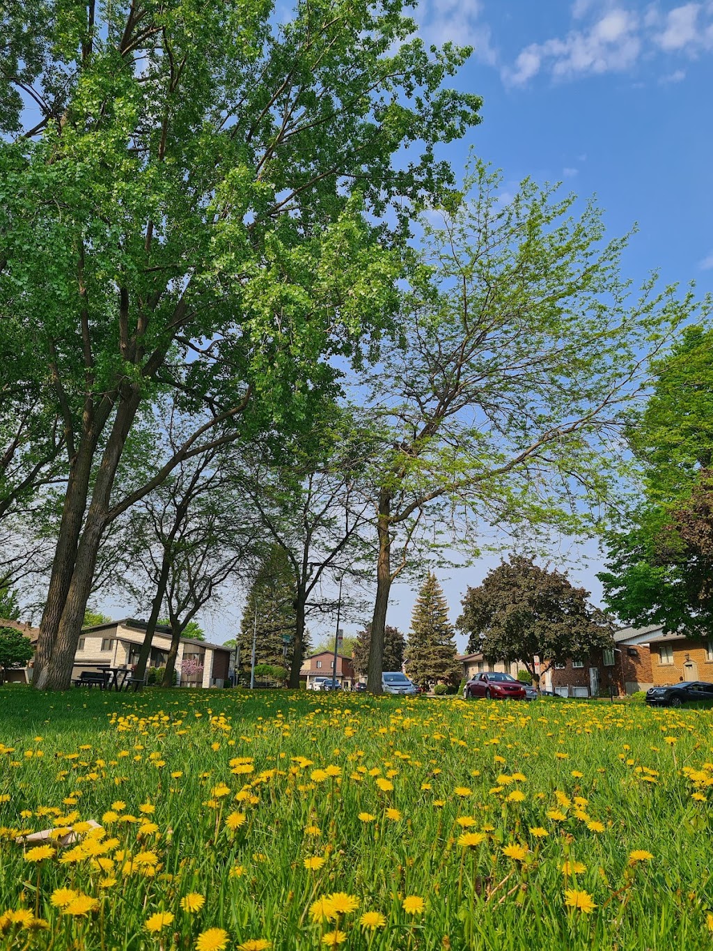 Paul-Séguin Park | Rue Raymond, LaSalle, QC H8P 3K9, Canada | Phone: (514) 367-1000
