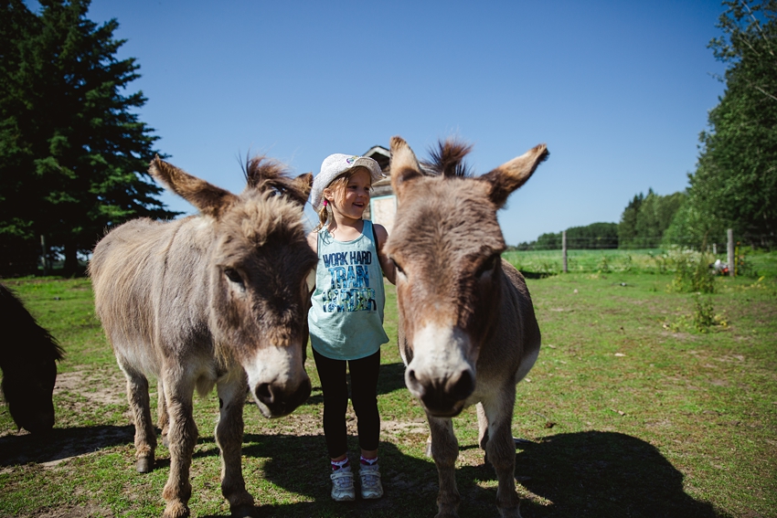 Leaning Tree Trail Rides | 64516 Range Rd 270, Box 164, Jarvie, AB T0G 1H0, Canada | Phone: (780) 307-6355