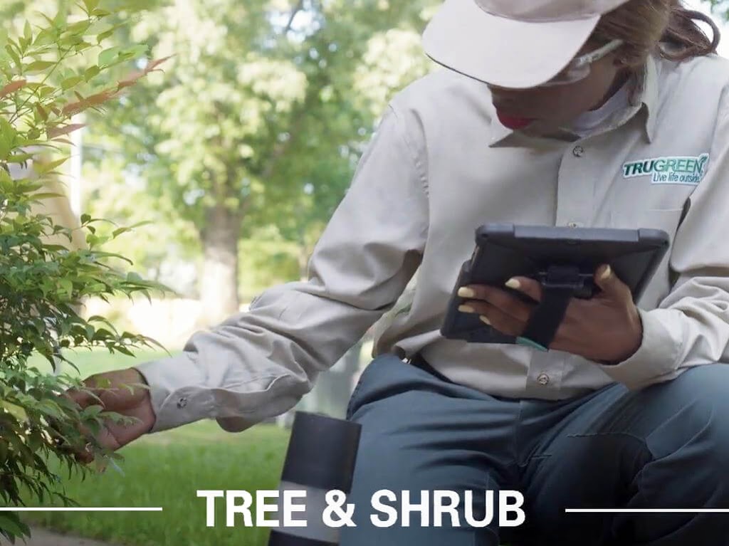 TruGreen Lawn Care | 984 Farewell St Suite 2, Oshawa, ON L1H 6N6, Canada | Phone: (855) 546-7336
