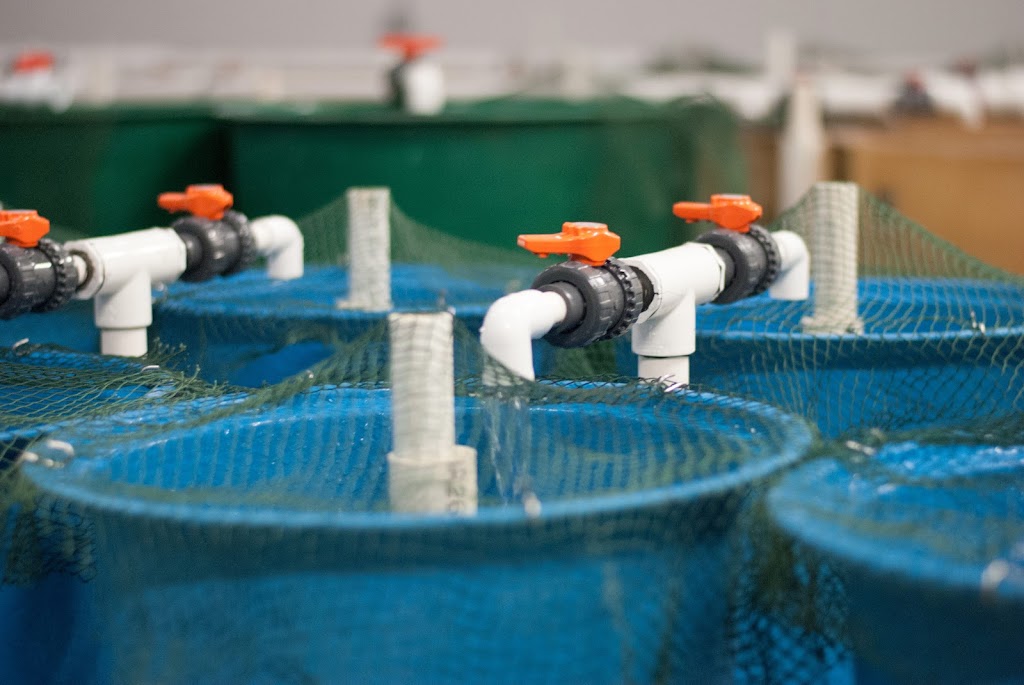 Center for Aquaculture Technologies - Victoria | 797 Victoria Rd, Victoria, PE C0A 2G0, Canada | Phone: (902) 730-2085