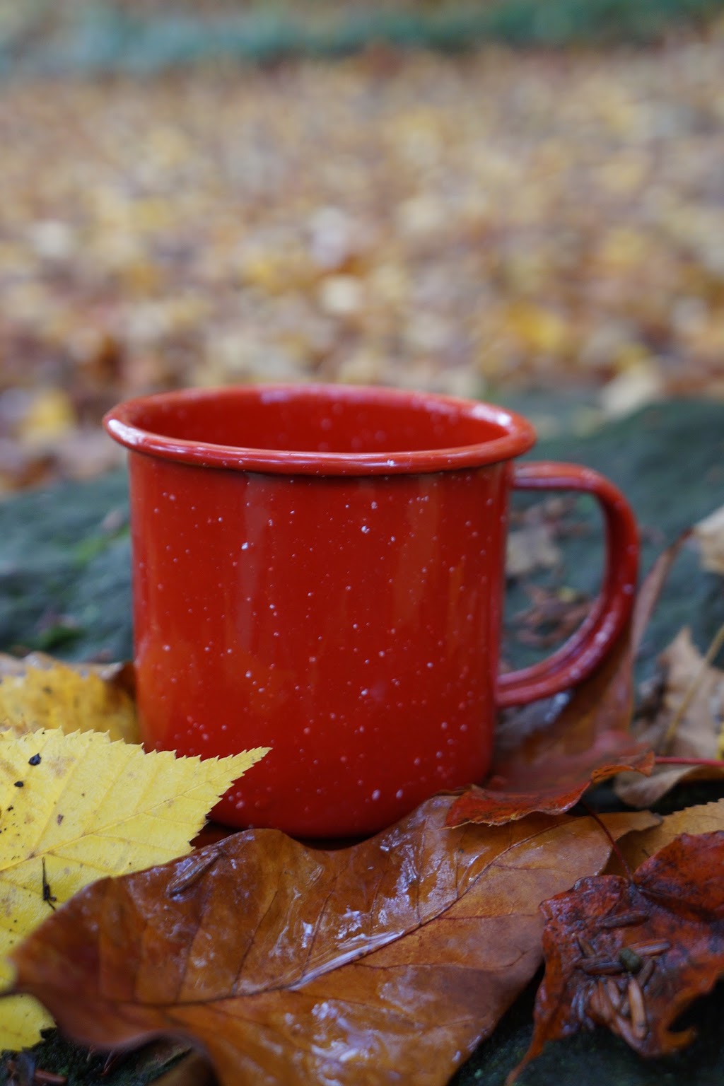 Campfire Premiums: Bulk Custom Printed Water Bottles, Travel Mug | 6091 Seneca St, Elma, NY 14059, USA | Phone: (716) 200-6967