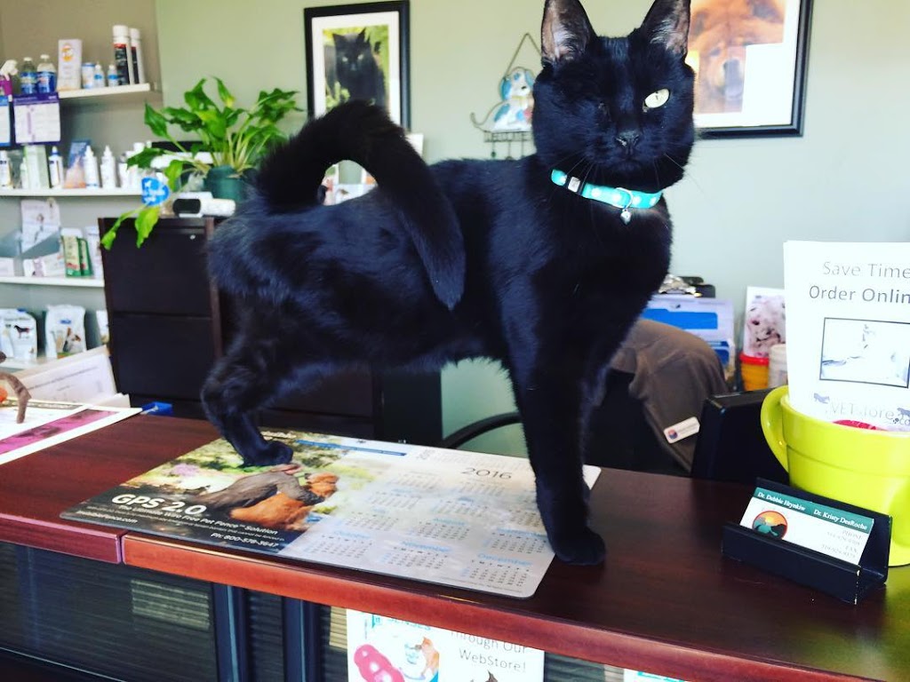 Black Creek Animal Hospital | 13383 Fourth Line, Acton, ON L7J 2M1, Canada | Phone: (519) 929-9308