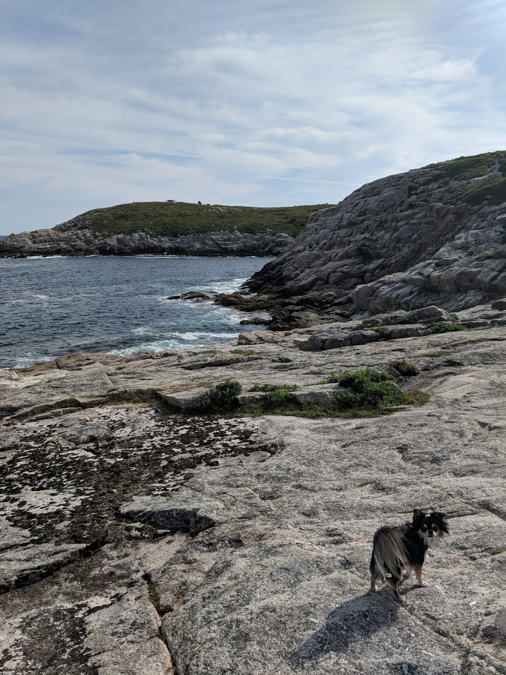 Duncans Cove Trail | Duncans Cove, NS B3V 1K4, Canada