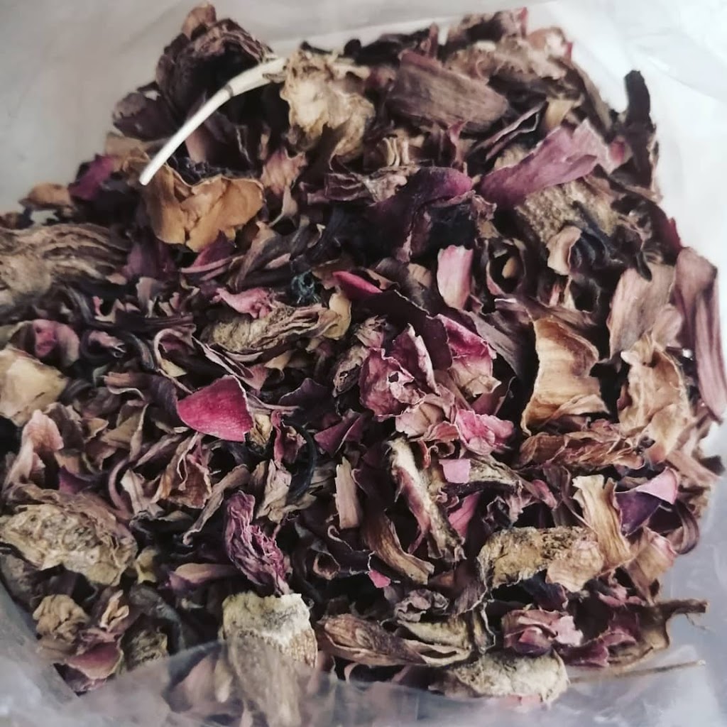 Sacred Spines Nursery & Apothecary | 26 E Front St, Stirling, ON K0K 3E0, Canada | Phone: (613) 921-2125