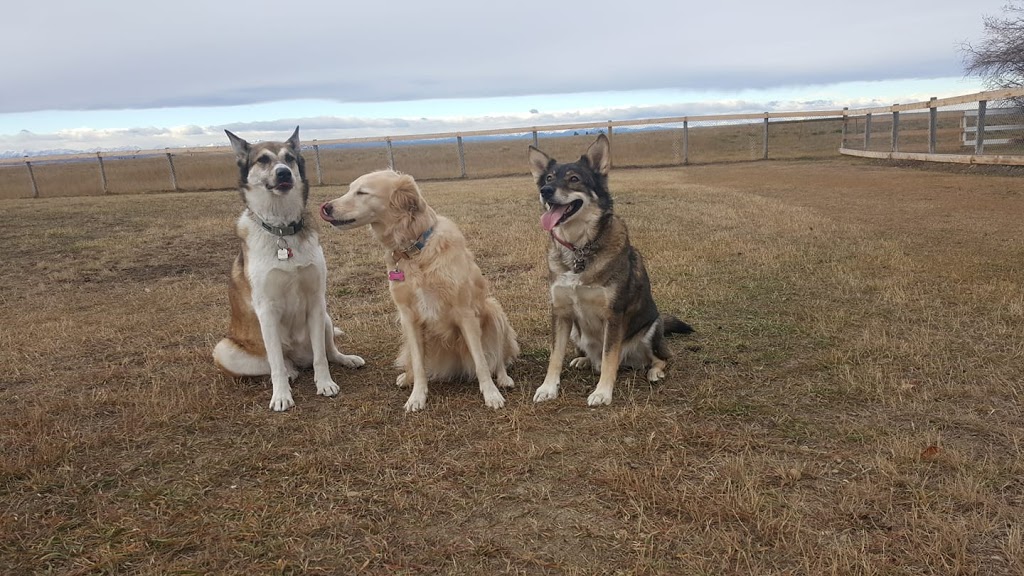Barrett Off-Leash Area | Unnamed Road, Rocky View No. 44, AB T1X 0J5, Canada