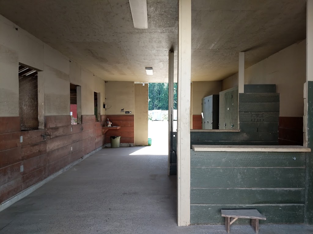 White Dove Stables | 5285 Hopedale Rd, Chilliwack, BC V2R 4P9, Canada | Phone: (604) 832-0189