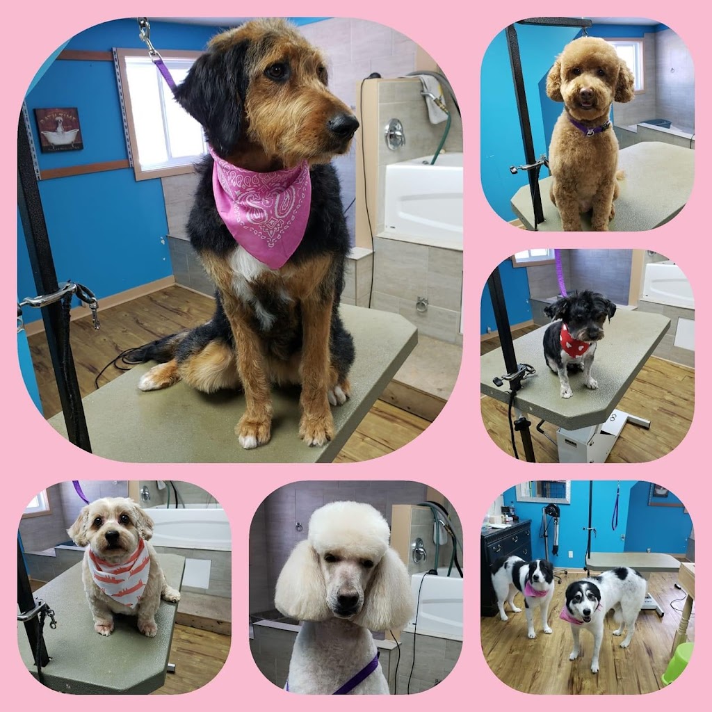 Healthy Hounds Pet Spa | 1412 Ashton Station Rd, Ottawa, ON K0A 1B0, Canada | Phone: (613) 862-0552