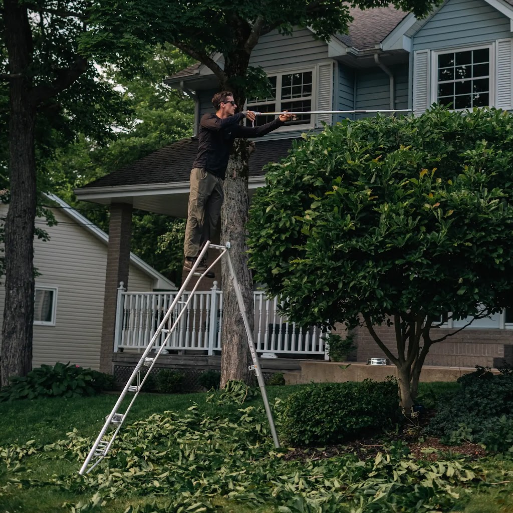 White Wolf Tree Service | 90 Wakefield Ct, Middle Sackville, NS B4E 0H1, Canada | Phone: (902) 414-6429