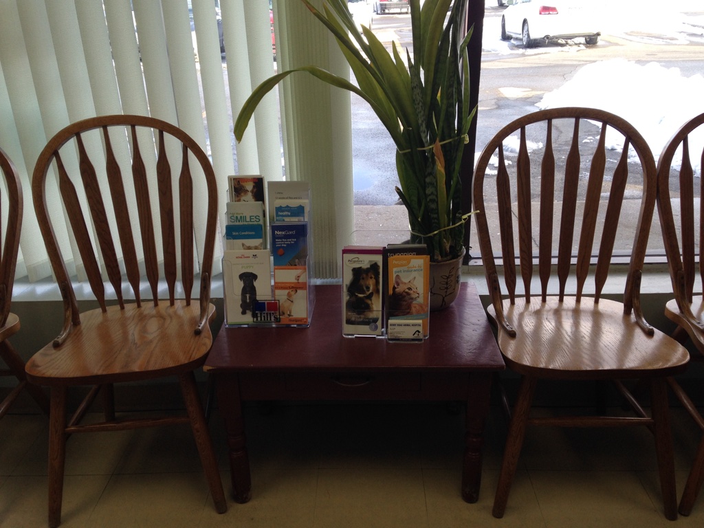 Derry Road Animal Hospital | 7025 Danton Promenade, Mississauga, ON L5N 5E5, Canada | Phone: (905) 824-5555