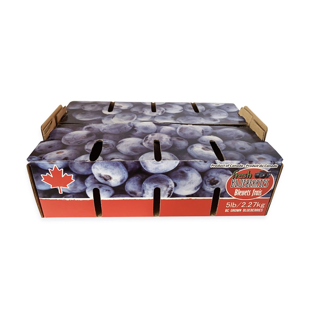 MV Packaging Ltd. | 19365 22 Ave #208, Surrey, BC V3Z 3S6, Canada | Phone: (250) 580-8686