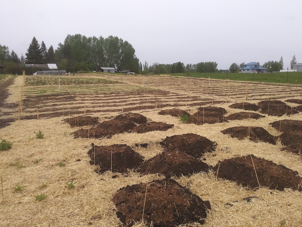 Grown Home Garden Solutions | 36 Skotoko Pl, Okotoks, AB T1S 1R5, Canada | Phone: (587) 441-4104
