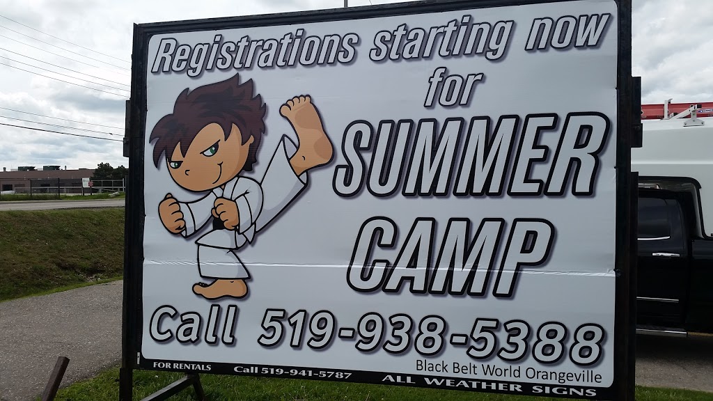 Black Belt World Orangeville | 25 Centennial Rd, Orangeville, ON L9W 1R1, Canada | Phone: (519) 938-5388