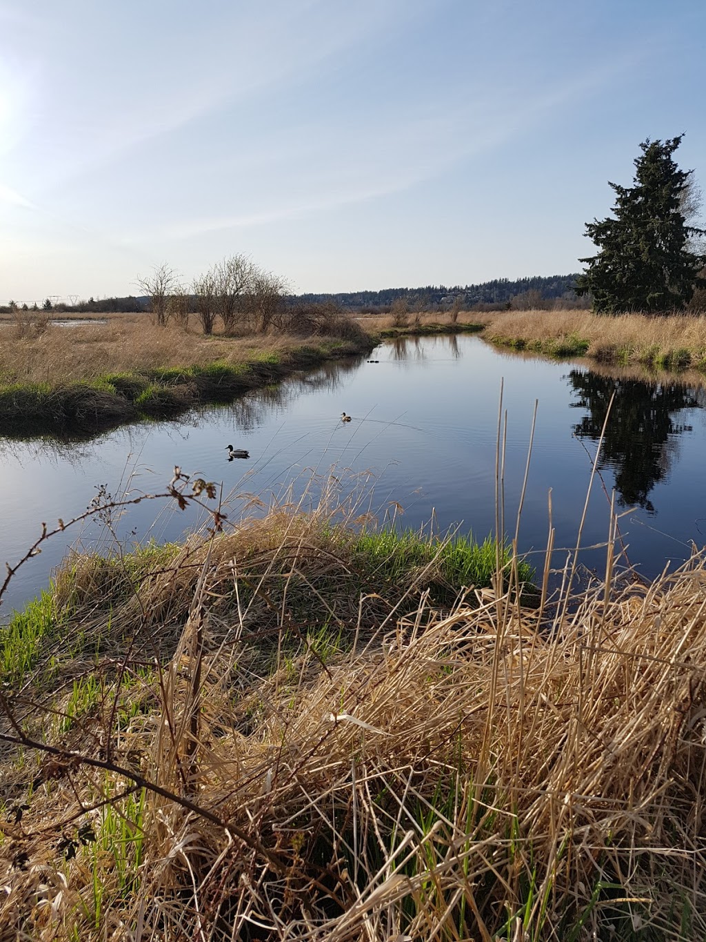 Serpentine Fen | King George Blvd, Surrey, BC V3S 0L2, Canada | Phone: (604) 591-4011