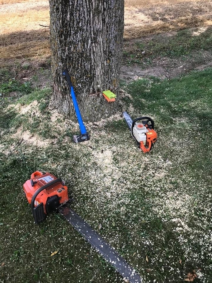 Nine Mile Tree Service | 84679 Kingsbridge Line RR3, Goderich, ON N7A 3X9, Canada | Phone: (519) 955-6869
