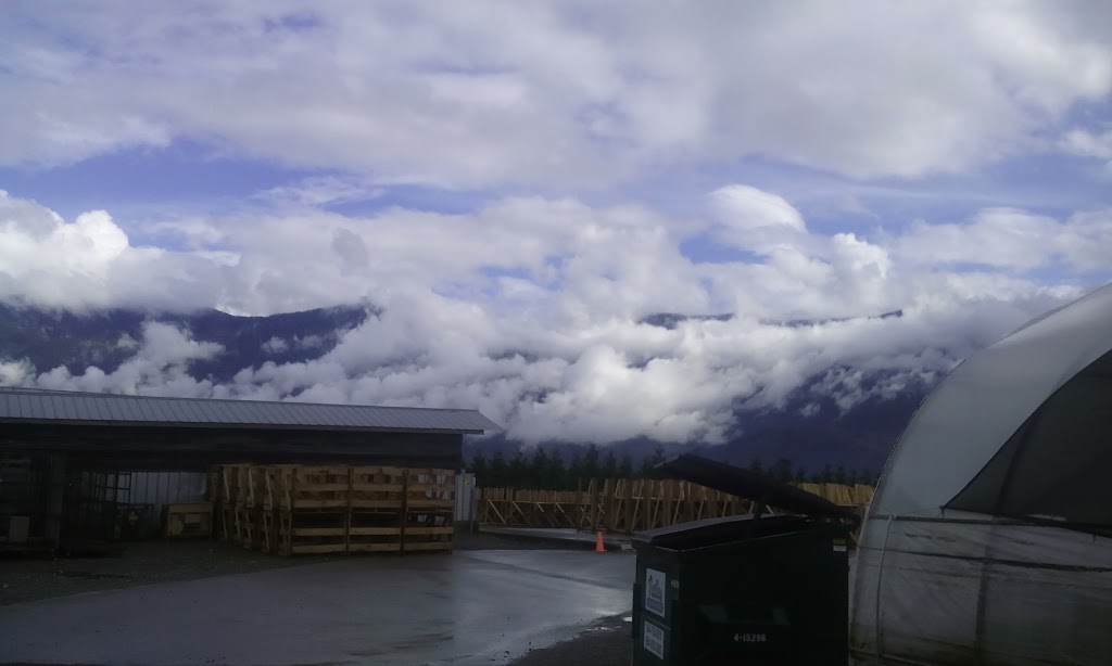 Brookdale Treeland Nurseries | 49750 Castleman Rd, Chilliwack, BC V2P 6H4, Canada | Phone: (604) 794-7111