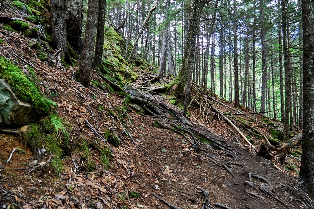 Third Vault Falls - UNESCO Fundy Biosphere Reserve Amazing Place | Alma Parish, NB E4H, Canada | Phone: (506) 874-3272