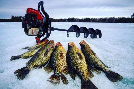 Friday Harbour Sports | Sea Ray Ave, Innisfil, ON L9S 2N4, Canada | Phone: (705) 243-6690