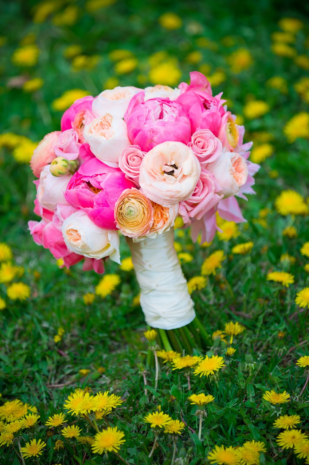 Elford Floral Design | 4142 Dundas St W, Etobicoke, ON M8X 1X3, Canada | Phone: (416) 231-3396