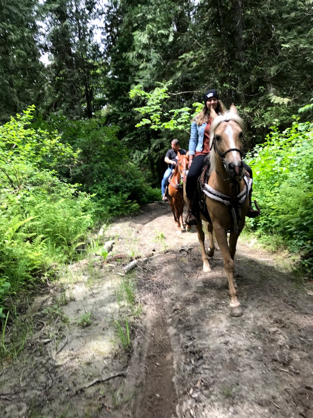 Mustang Riding Stables | 14729 Sylvester Rd, Fraser Valley F, BC V2V 0B9, Canada | Phone: (604) 826-1800