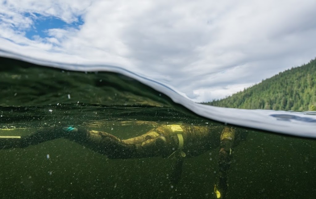 Freedive BC | 7480 Gilbert Rd., Richmond, BC V7C 3W2, Canada | Phone: (604) 897-1801