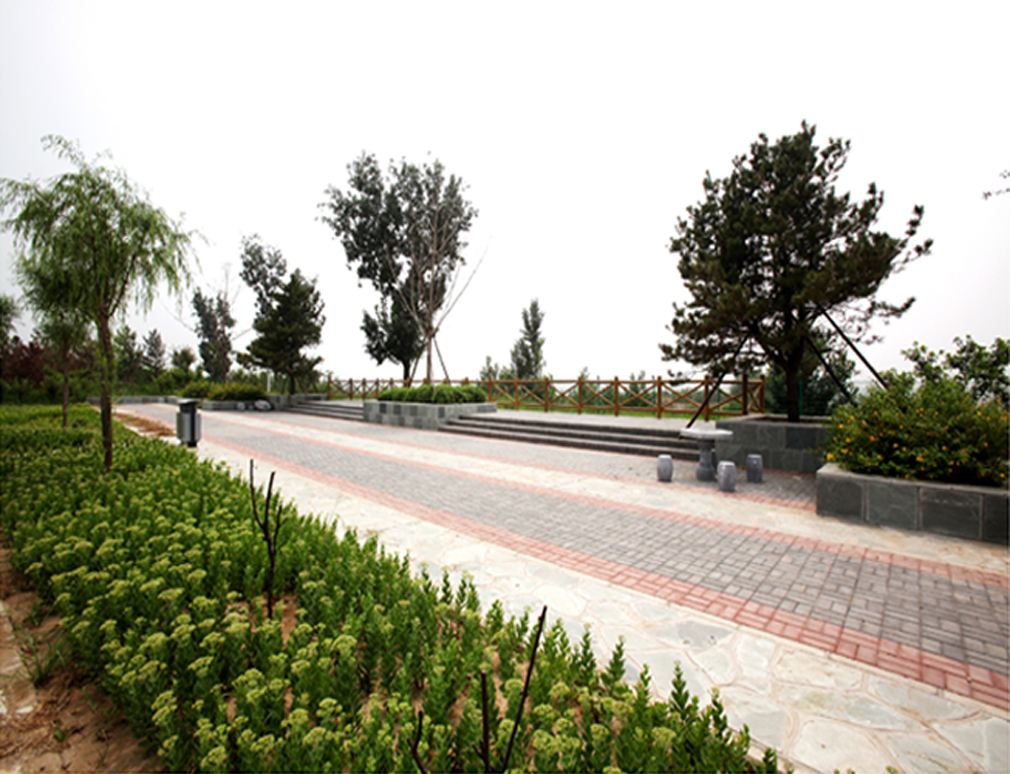 Burkville Park | 1060, Catalina Crescent, Richmond, BC V7B 1E1, Canada