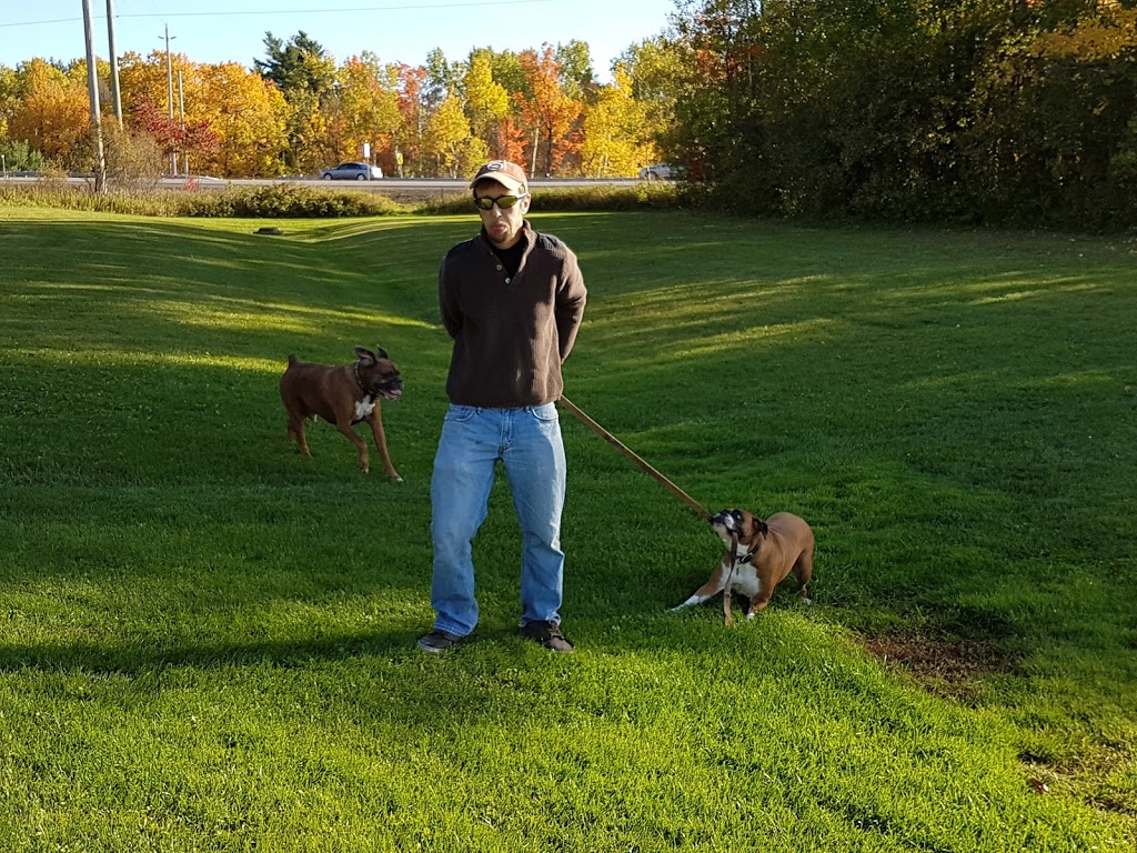 Tauvette Park | 2436 Innes Rd, Gloucester, ON K1B 3A1, Canada | Phone: (613) 222-2222