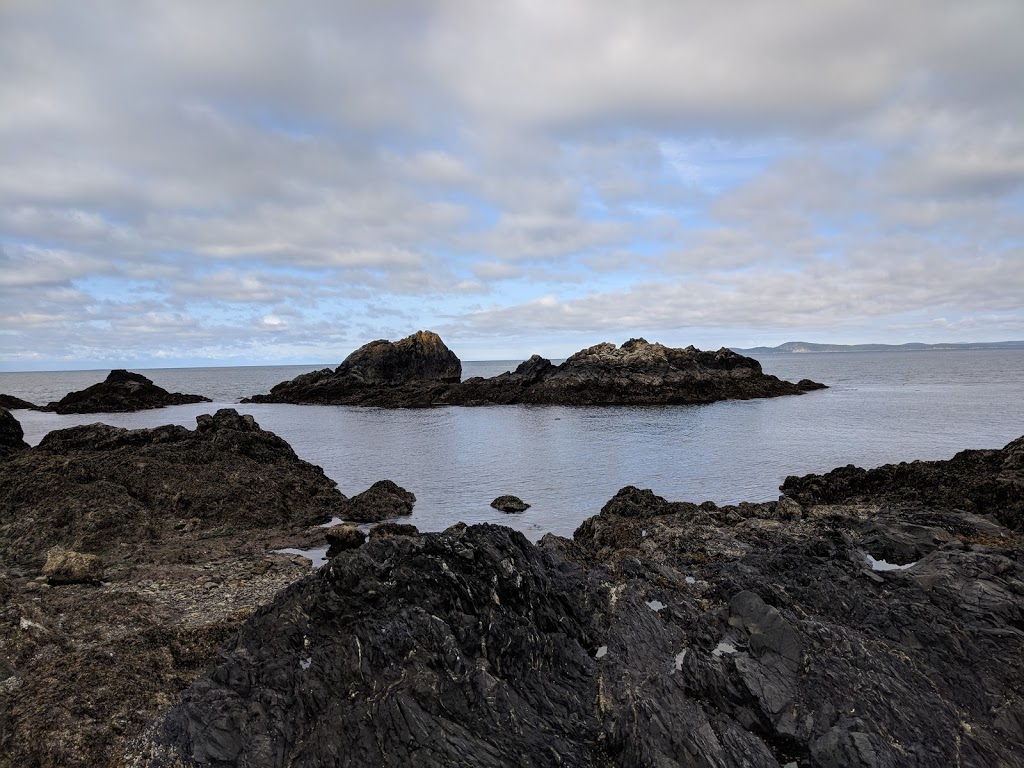Tidal Pools | Rosario Beach, WA, USA