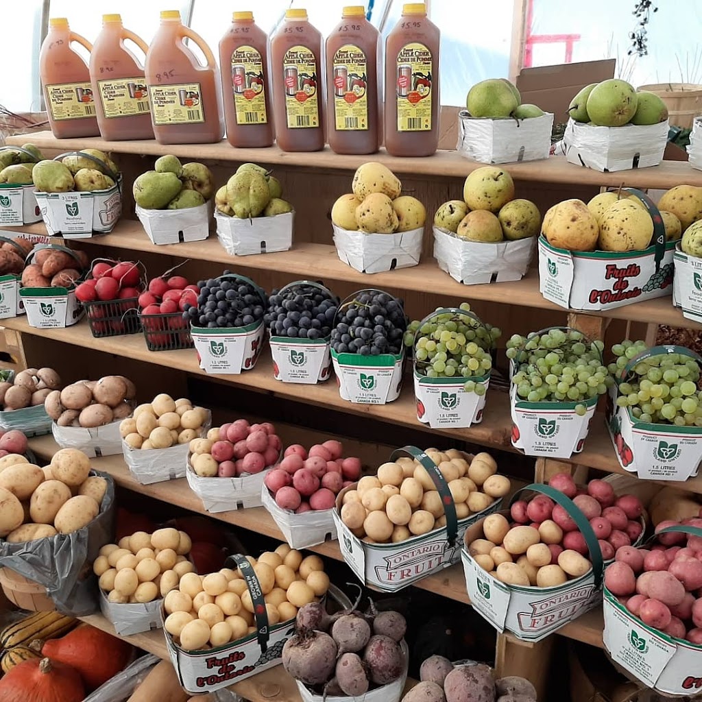 Landis Fruit Market | 503 Hastings St N, Bancroft, ON K0L 1C0, Canada | Phone: (613) 332-6830