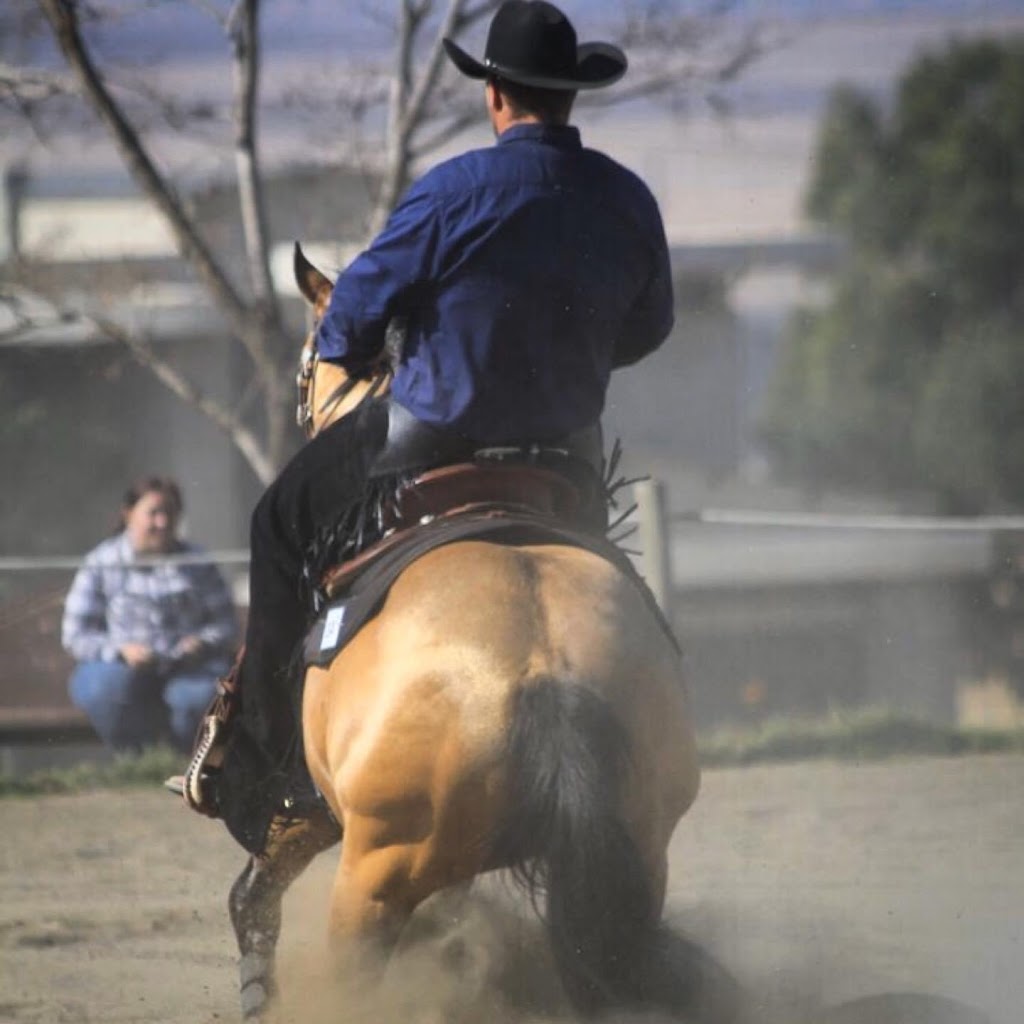 Kemp Equine Training | 49979 Camp River Rd, Chilliwack, BC V2P 6H4, Canada | Phone: (778) 933-2727