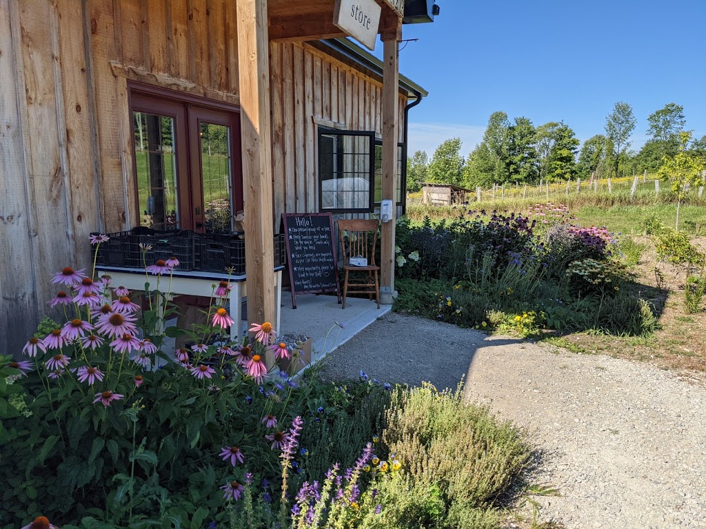 Sideroad Farm | 805092, Sideroad 25 RR3, Markdale, ON N0C 1H0, Canada | Phone: (519) 377-6673