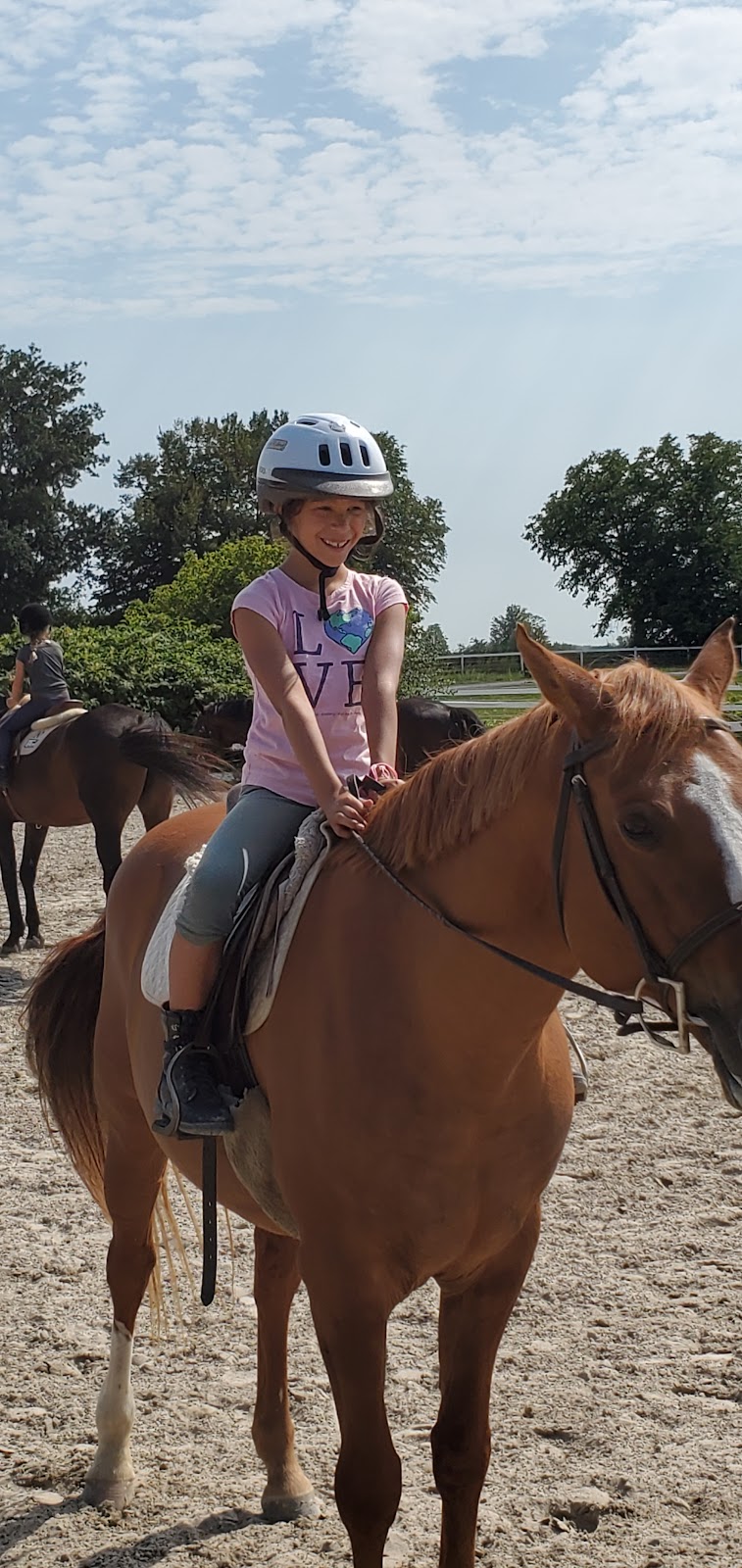 Pickering Horse Centre Ltd | 3800 Paddock Rd, Claremont, ON L1Y 1A2, Canada | Phone: (905) 626-9065