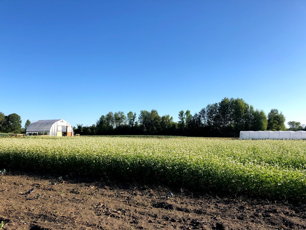 Ottawa Food Bank Farm | Munster Hamlet - Richmond, Ottawa, ON K2S 1B8, Canada | Phone: (613) 745-7001