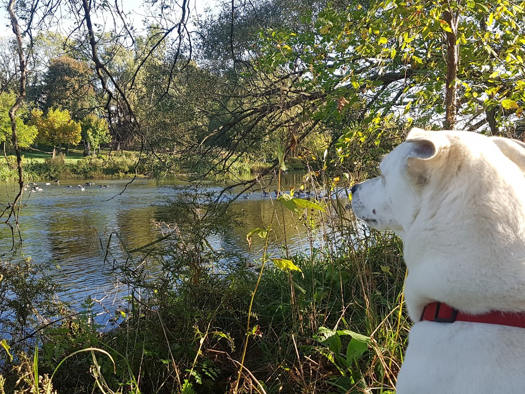 Dorchester Mill Pond EcoTrail | Mill Pond,, Thames Centre, ON N0L 1G2, Canada