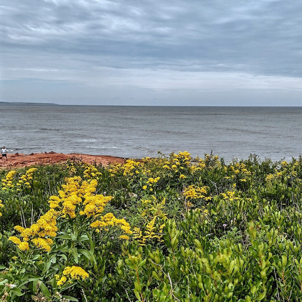 Oceanview Lookoff, Prince Edward Island National Park | 1794 Gulf Shr Pkwy W, Cavendish, PE C0A 1M0, Canada | Phone: (902) 672-6350