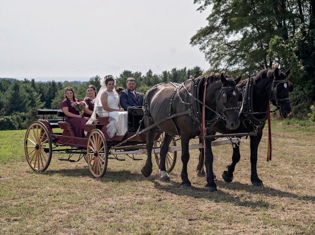 DICE Agricultural Services | Vimy Ridge Rd, Cobourg, ON K9A 4J7, Canada | Phone: (519) 498-1376