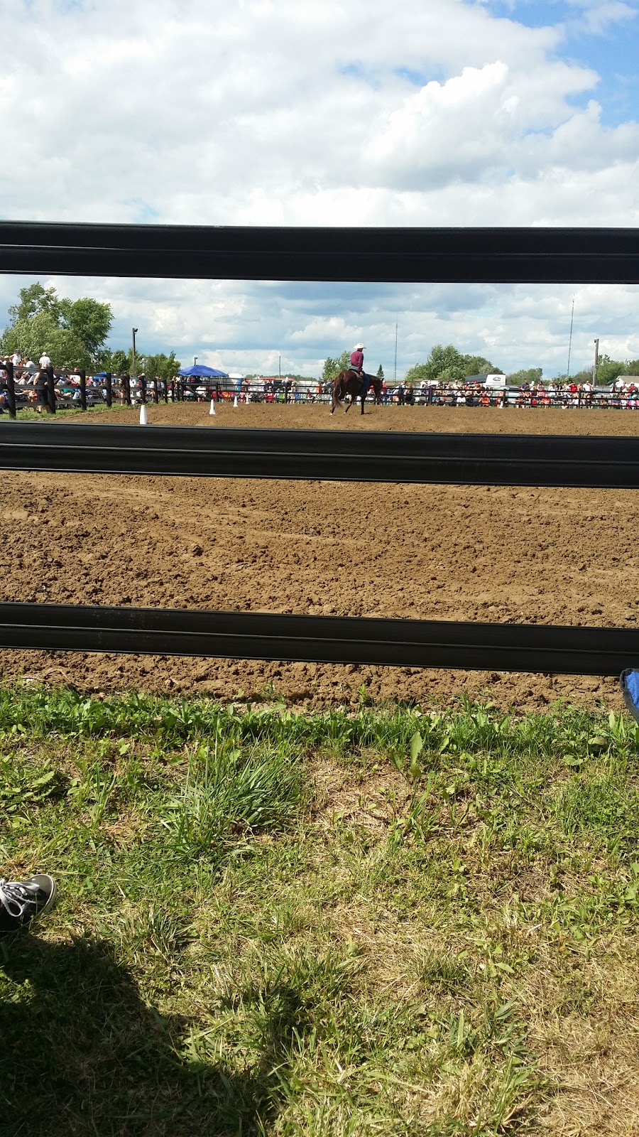 Windsor - Essex Therapeutic Riding Association | 3323 N Malden Rd, Essex, ON N8M 2X6, Canada | Phone: (519) 726-7682