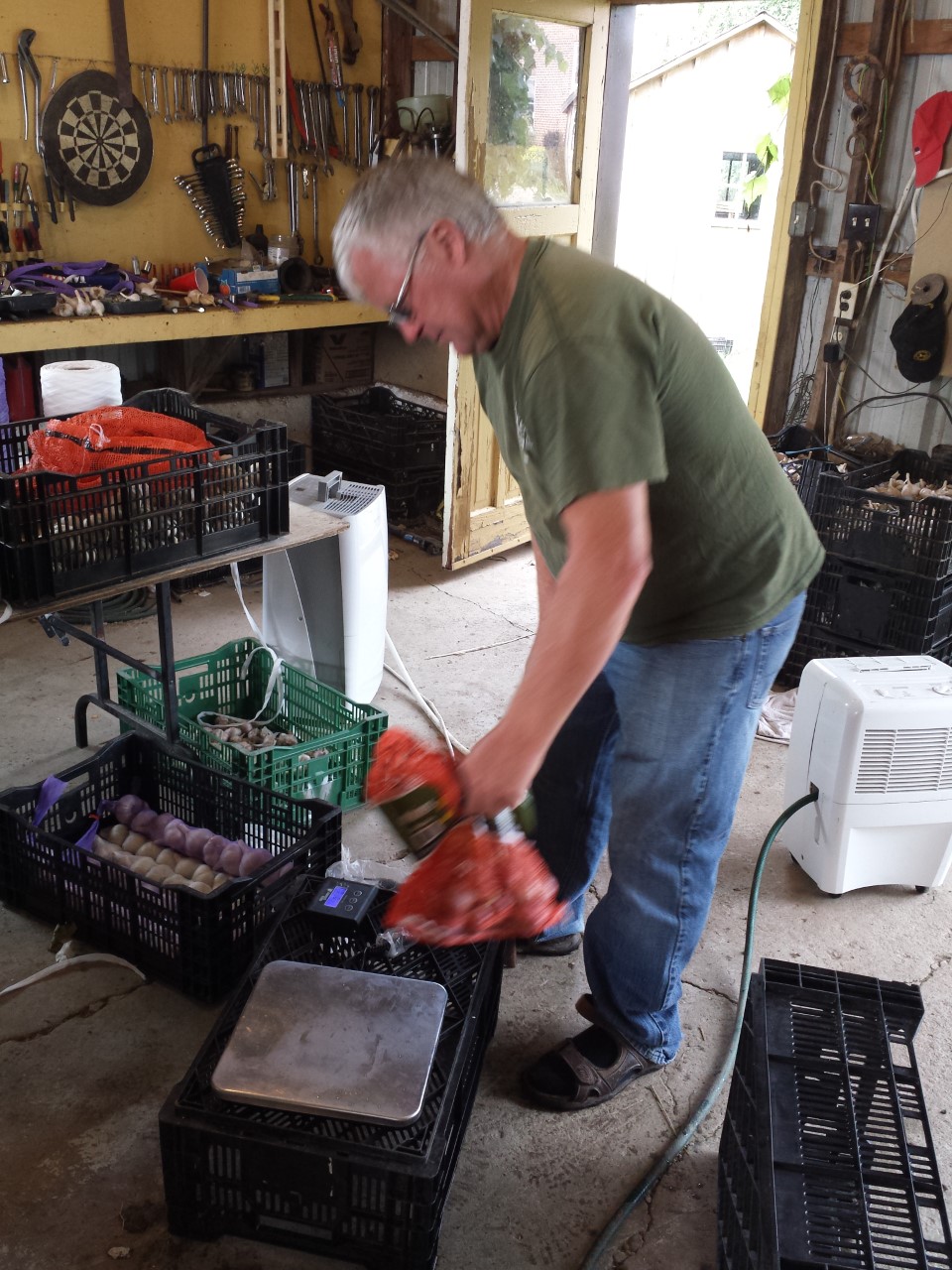 Arranhill Garlic Farm | Concession Rd 12 E, Allenford, ON N0H 1A0, Canada | Phone: (519) 270-0022
