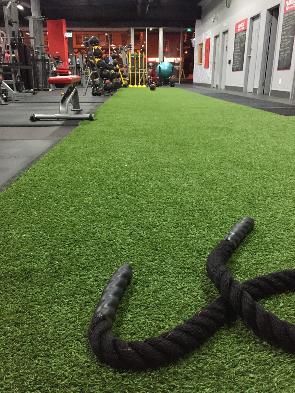 Vive Fitness 24/7 Lakeshore Etobicoke | 2873 Lake Shore Blvd W, Etobicoke, ON M8V 1J2, Canada | Phone: (416) 792-8483