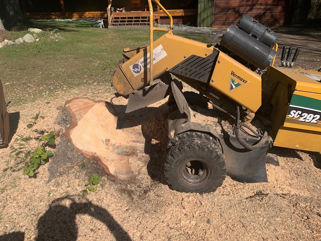 Plateau bob cat and milling | 4337 Forbidden Plateau Rd, Comox-Strathcona C, BC V9J 1R2, Canada | Phone: (250) 703-6944